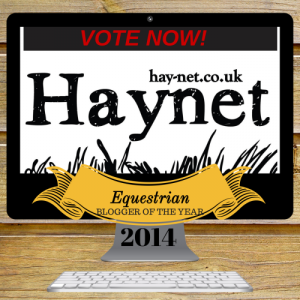1411181816577191-haynet-equestrian-blogger-of-the-year-2014---vote-now